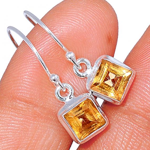 Boucles CITE1639C