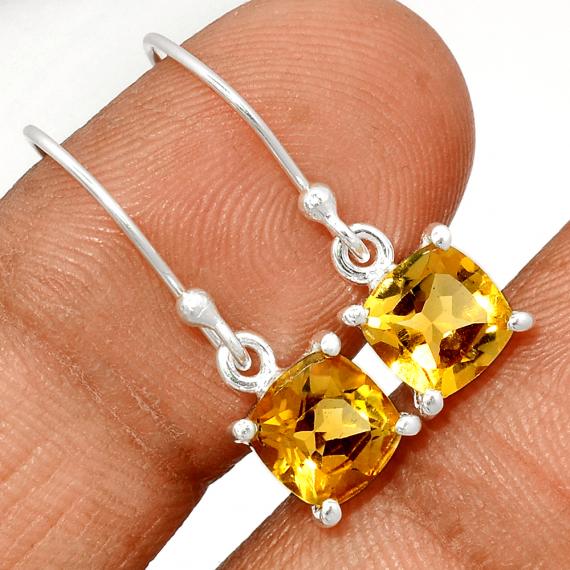 Boucles CITE1719-C