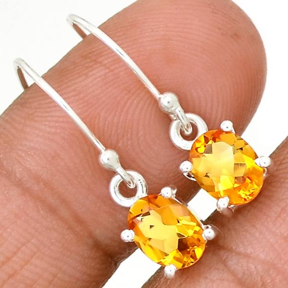 Boucles CITE1091