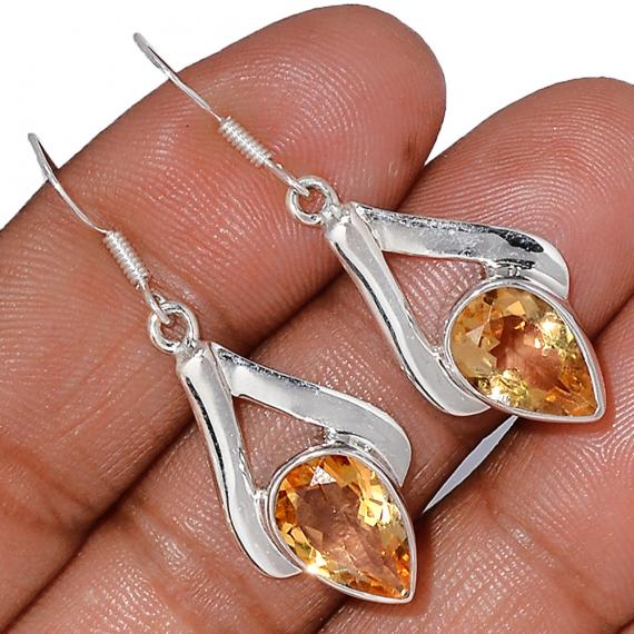 Boucles CITE1422