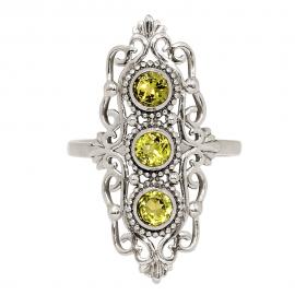 Bague DSN-250