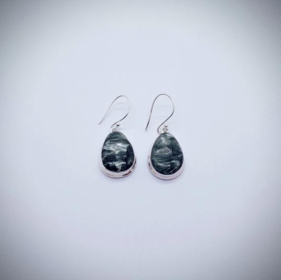 Boucles EU-SRPE-H