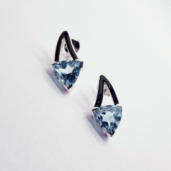 Boucles EU-ER2201-L
